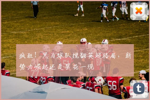 疯狂！黑马球队搅翻英超格局，新势力崛起还是昙花一现